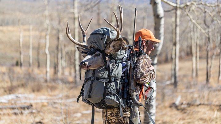 Close-up of a hunter with backpack and his trophy attached to it 